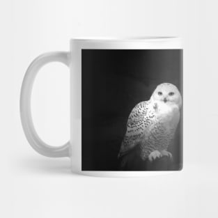 Snowy Owl Mug